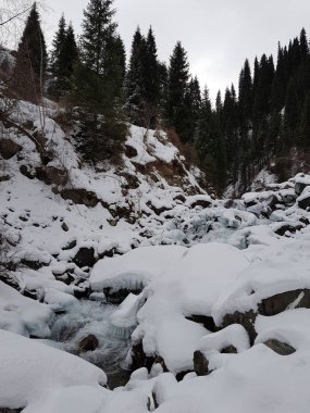 Dağ ormanlarında nehir olan kış manzarası.