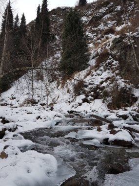 Dağ ormanlarında nehir olan kış manzarası.