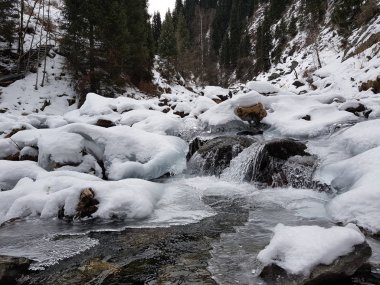 Dağ ormanlarında nehir olan kış manzarası.