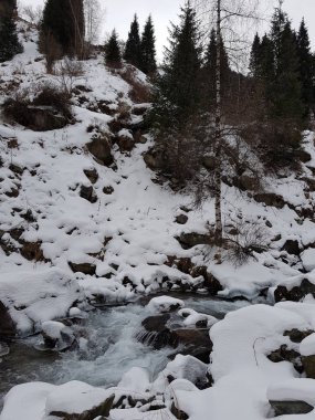 Dağ ormanlarında nehir olan kış manzarası.