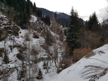 Dağ ormanlarında nehir olan kış manzarası.