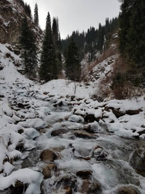Dağ ormanlarında nehir olan kış manzarası.
