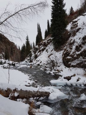 Dağ ormanlarında nehir olan kış manzarası.