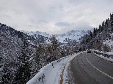 kış manzara dağ orman.