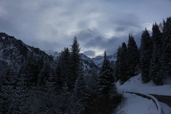 Paysage Dans Une Forêt Montagne Matin Hiver — Photo