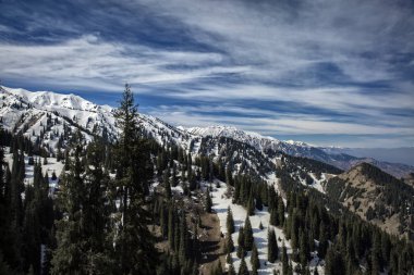 Bahar manzara dağ orman.