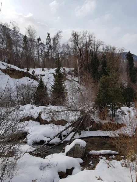 Landschaft Mit Fluss Bergwald — Stockfoto