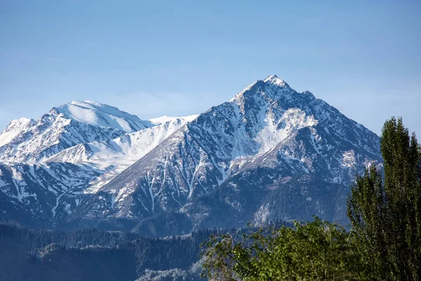 Büyük Almaty tepesi, Zailiysky Alatau dağları Almatı şehrinde..