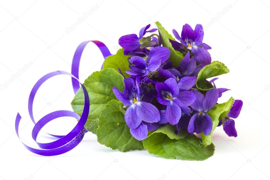 Viola odorata -  spring flowers bouquet 
