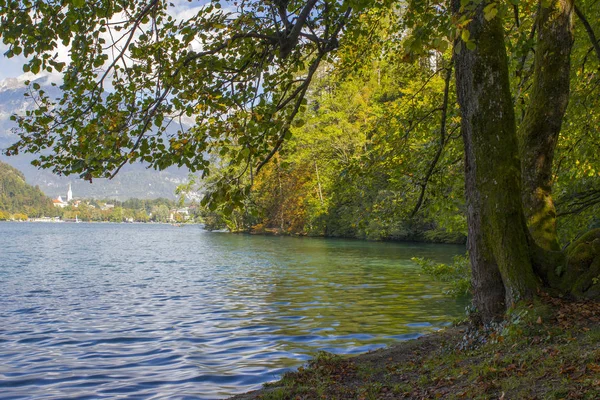 Utsikt över Bled sjön, Slovenien, Europa — Stockfoto