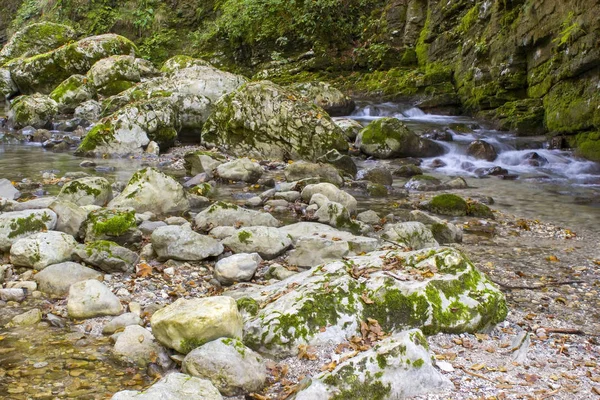 Sungai aliran di warna-warni hutan musim gugur di Slovenia — Stok Foto