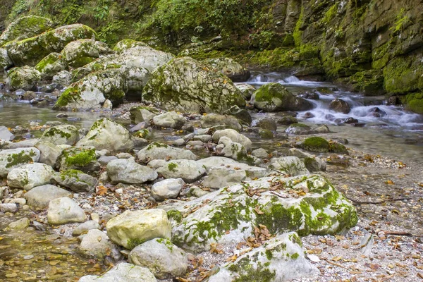 Tok řeky v barevné podzimní les ve Slovinsku — Stock fotografie