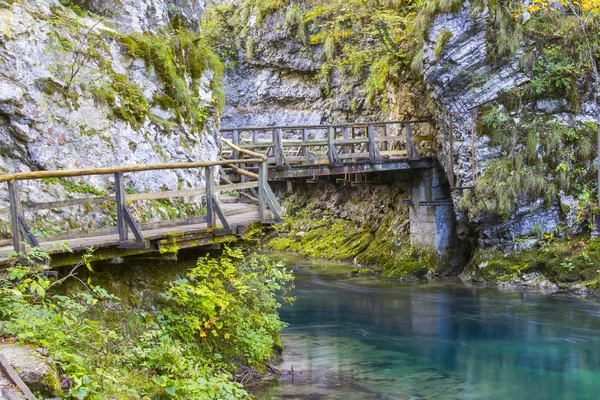 Vintgar Canyon in Slovenië — Stockfoto