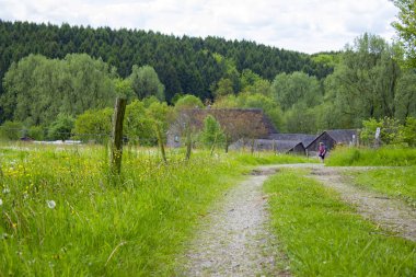 Bergisches Almanya 'da - Bahar çayırları