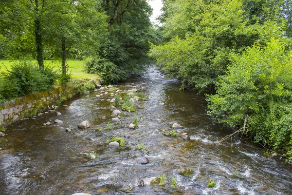 Río Gutach en la Selva Negra, Alemania — Foto de Stock