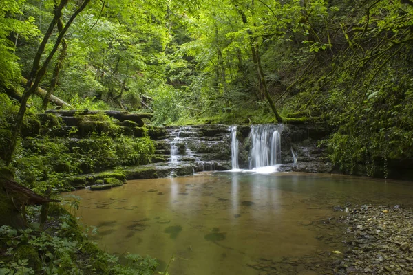 Gauchach ущелині, чорний ліс, Німеччина — стокове фото