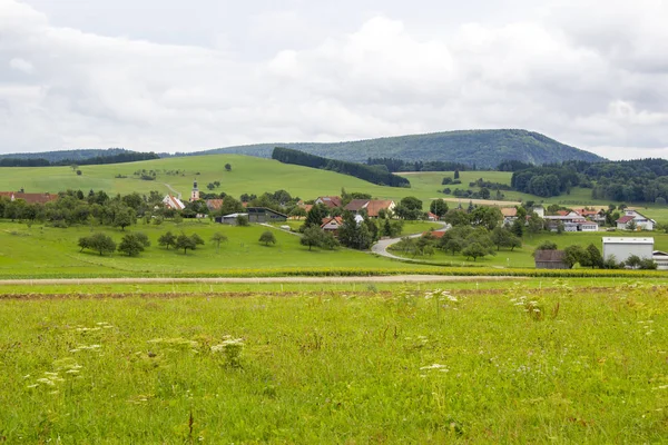 Fekete erdő Németországban — Stock Fotó