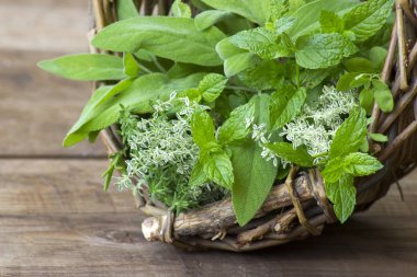 Ahşap arka plan üzerinde bir sepet içinde taze hasat otlar