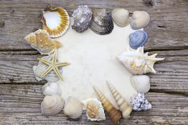 Papel en blanco sobre fondo de madera con conchas marinas — Foto de Stock