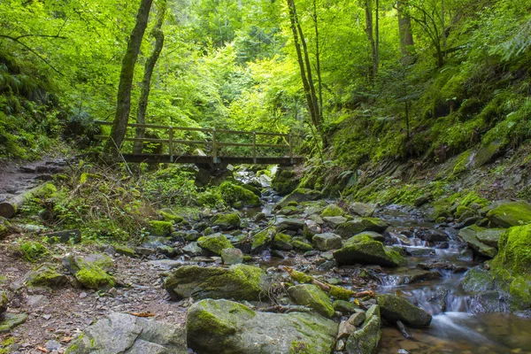 Lotenbach ущелини в Blach лісі, Німеччина — стокове фото