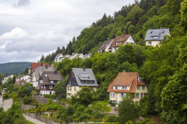 Kara Orman Triberg görünümünü 