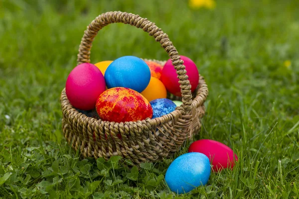 Glædelig påske, farverige æg i en kurv - Stock-foto