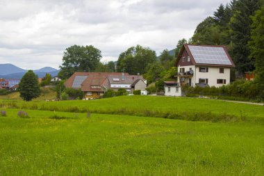 Almanya 'da Kara Orman