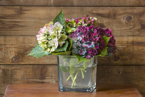 hortensia flowers, Hydrangea macrophylla, wooden background