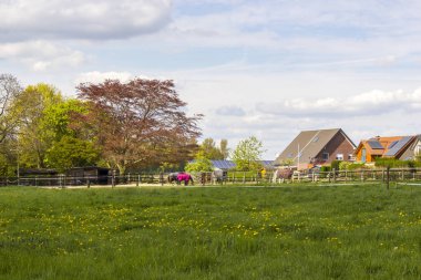 Alman kırsal alanı, Aşağı Ren Bölgesi