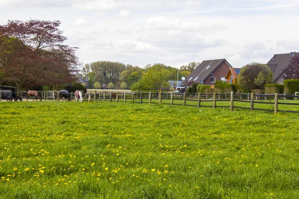 Niederrheinische Landschaft — Stockfoto