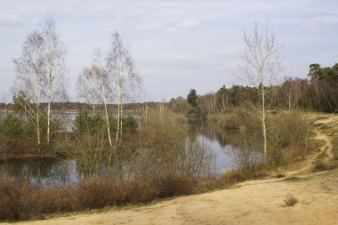 Hollanda 'daki Ulusal Park Maasduinen