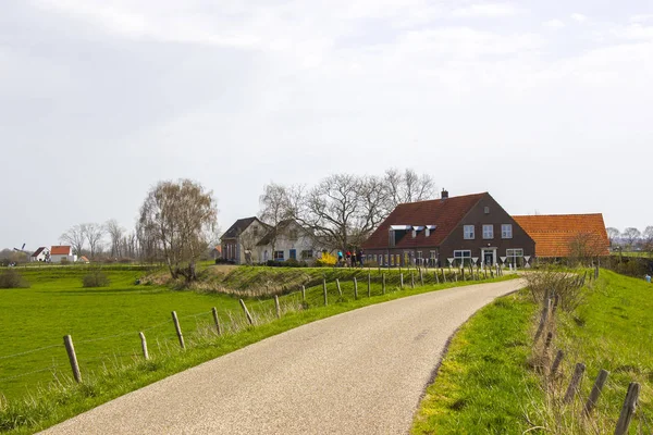 Paysage de comté aux Pays-Bas — Photo
