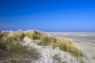 Kum tepeleri, Renesse, Zeeland, Hollanda