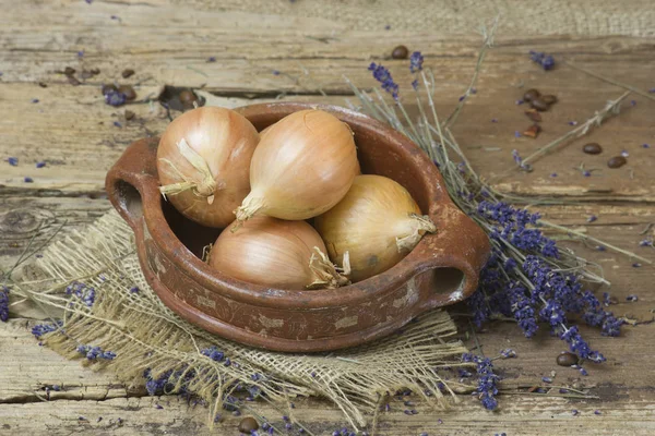 Fresh onions in a clay pot and lavender flowers — Stock Photo, Image