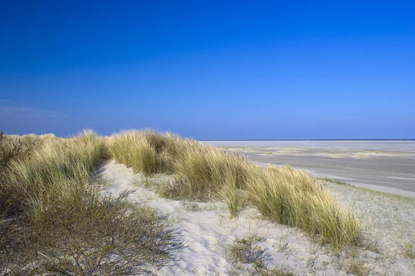 As dunas, Renesse, Zelândia, Países Baixos — Fotografia de Stock