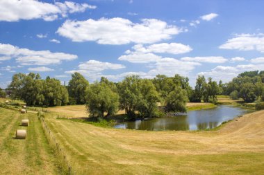 Rhine, Hollanda, Gelderland boyunca floodplains