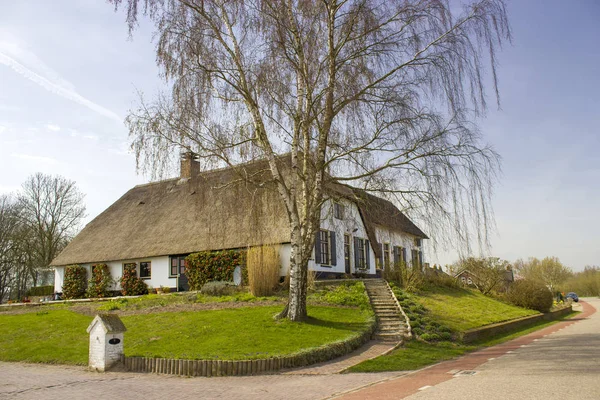 Yeşil bahçe ile hasır çatılı tipik Hollanda ev. Ülke — Stok fotoğraf