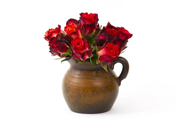 Roses rouges dans un vase sur fond blanc — Photo