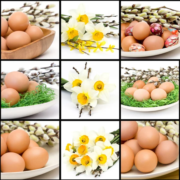 Collage de Pascua - imágenes con huevos y flores narcisas — Foto de Stock