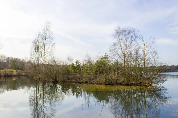 Nationalpark Maasduinen in den Niederlanden — Stockfoto