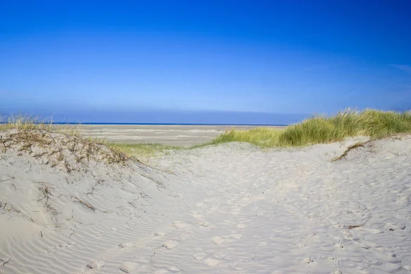 Οι αμμόλοφοι, Renesse, Zeeland, Ολλανδία — Φωτογραφία Αρχείου