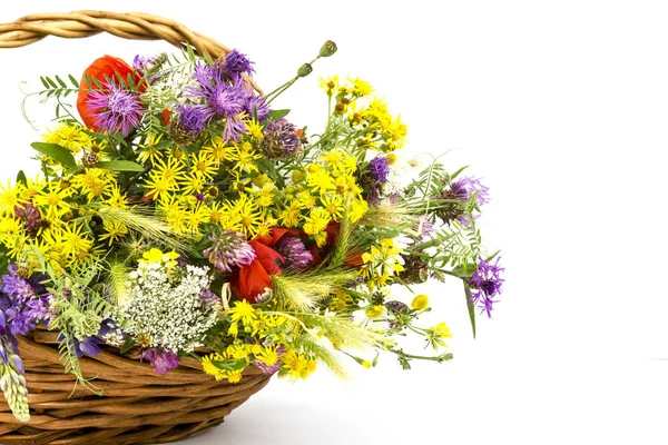 Korb mit wilden Blumen — Stockfoto