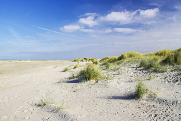 Dűnék, Renesse, Zeeland, Hollandia — Stock Fotó