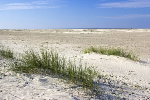 Kum tepeleri, Renesse, Zeeland, Hollanda — Stok fotoğraf