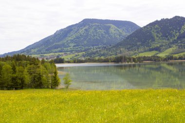 Almanya 'daki Alpler' in güzel manzarası 