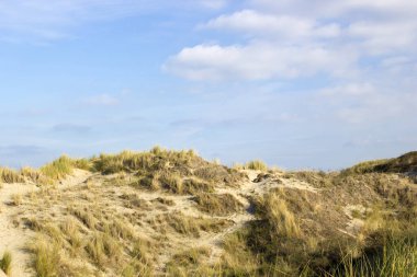 Kum tepeleri, Renesse, Zeeland, Hollanda