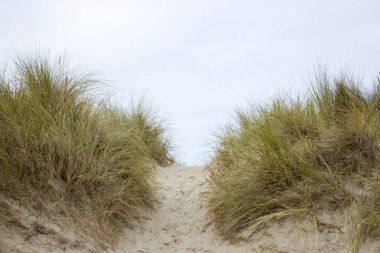 Yol yalak dunes, Renesse, Zeeland, Hollanda