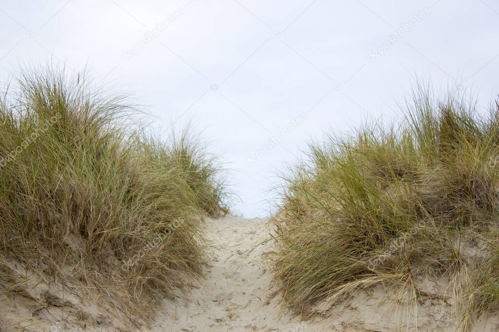 Path trough the dunes, Renesse, Zeeland, the Netherlands