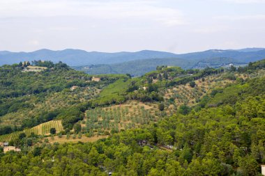 Yazın tipik Toskana manzarası, İtalya