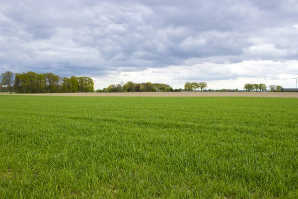 Landschap Duitsland Nederrijn Gewest — Stockfoto